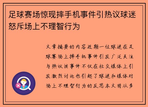 足球赛场惊现摔手机事件引热议球迷怒斥场上不理智行为