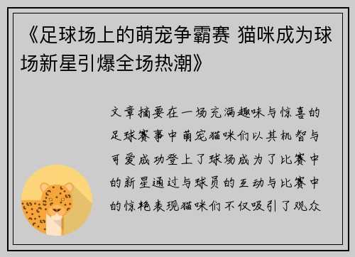 《足球场上的萌宠争霸赛 猫咪成为球场新星引爆全场热潮》