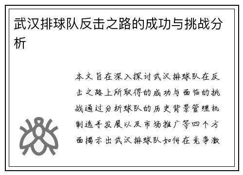 武汉排球队反击之路的成功与挑战分析