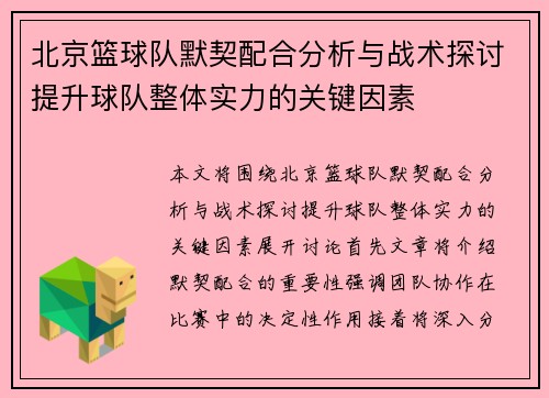 北京篮球队默契配合分析与战术探讨提升球队整体实力的关键因素